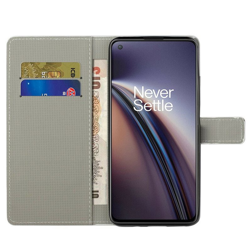 Kotelot OnePlus Nord CE 5G Galaxy Design